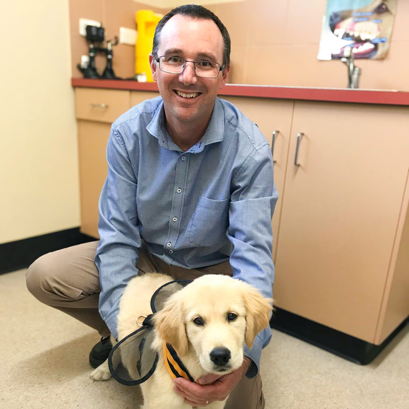 Encounter Bay Vet Dr Shaun with golden retriever puppy