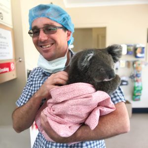 Encounter Bay Vet Dr Shaun holding a Koala patient